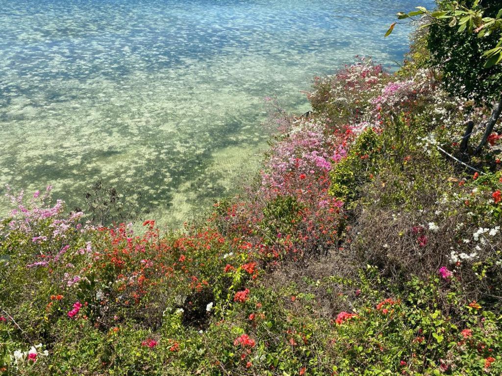 סאן ג'ואן Tahanan Resort מראה חיצוני תמונה